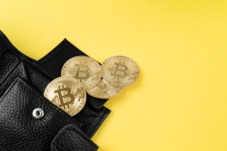 The Different Kinds Of Bitcoin Wallets Available